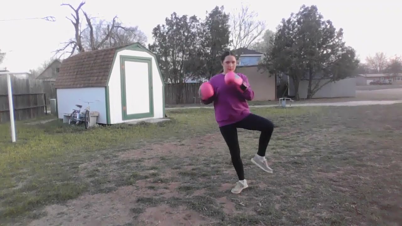 Kickboxing and Muay Thai combination, backfist spinbackfist wheelkick