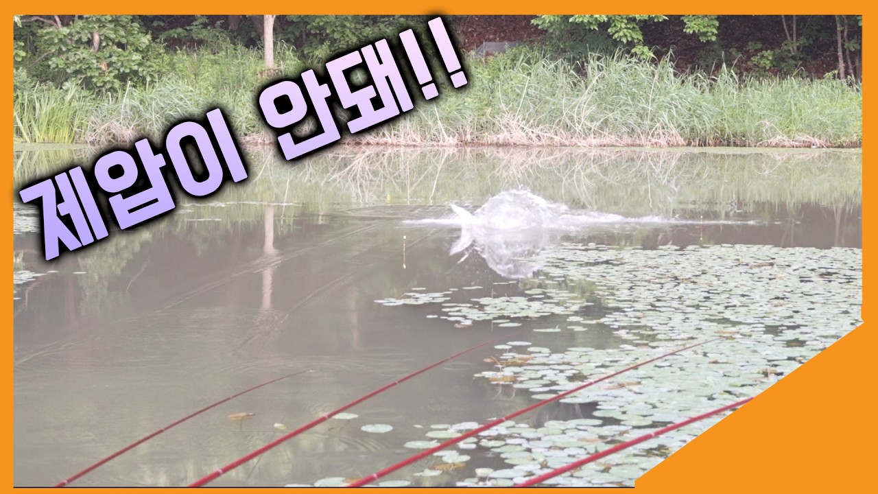 경기도 숨은 포인트 남사천! 나무그늘과 붕어손맛 모두 가능한, 여름철 최고의 낚시포인트!