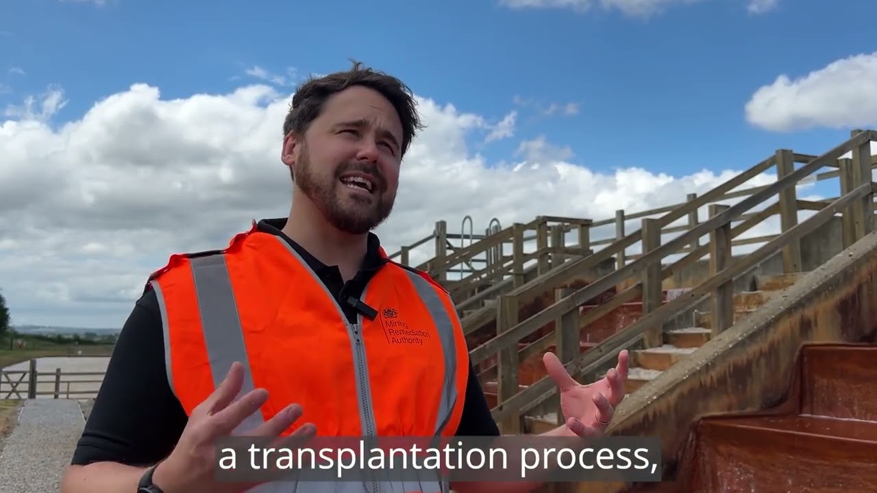 Reedbed refurbishment at A-Winning