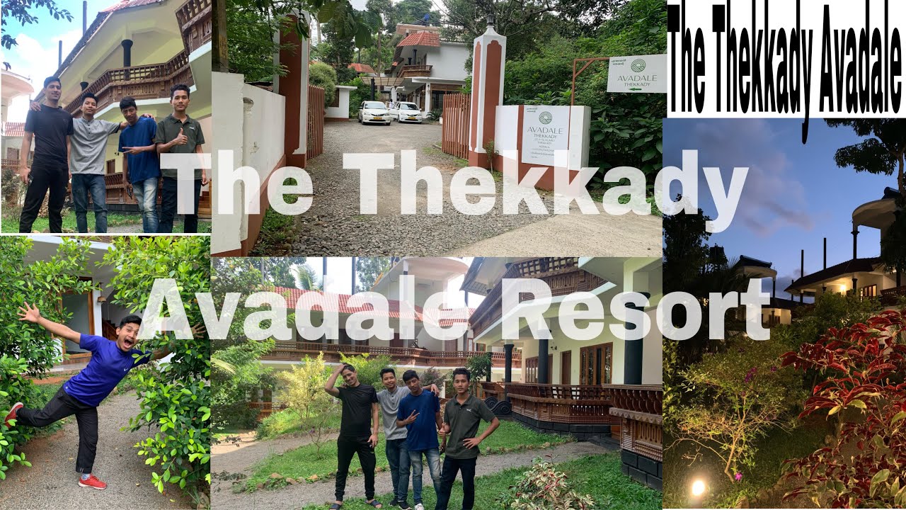 The Thekkady Avadale Resort By Bimoljoy (Vlog-33)