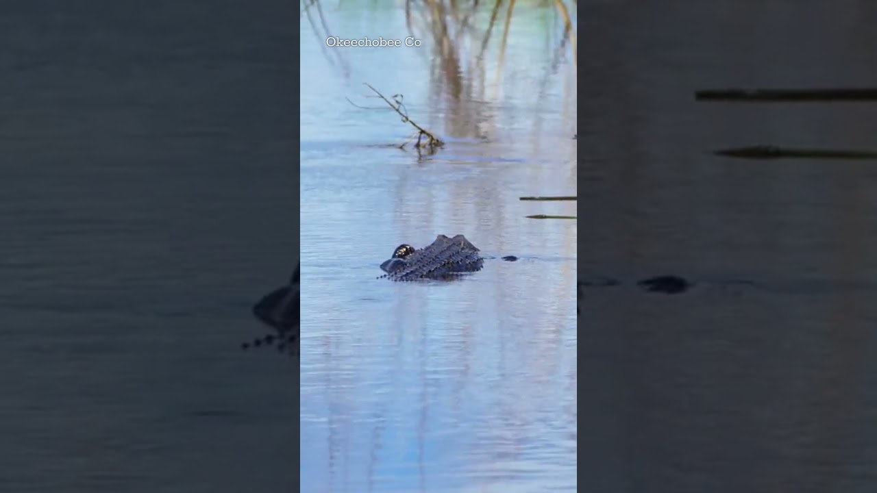 Okeechobee County, Florida: Heartland History and the Big Lake