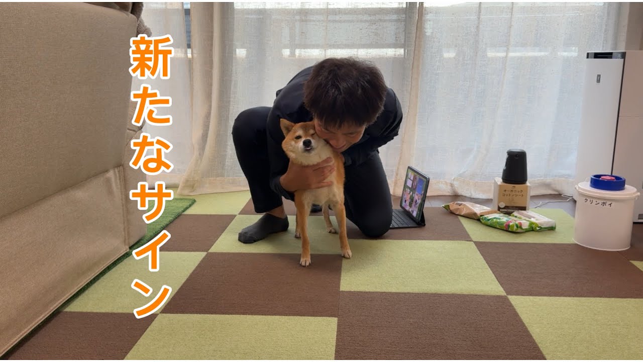 福ちゃんのお腹に小さなサインが出始めました