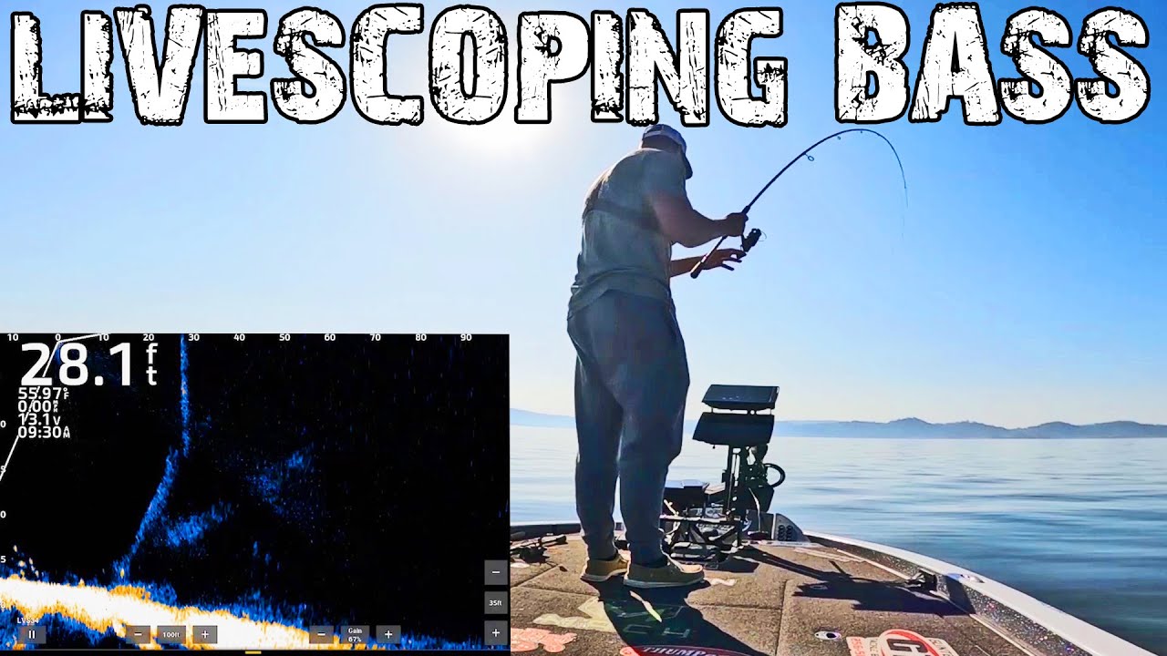 LIVESCOPE FOOTAGE Bass Fishing LAKE GUNTERSVILLE!