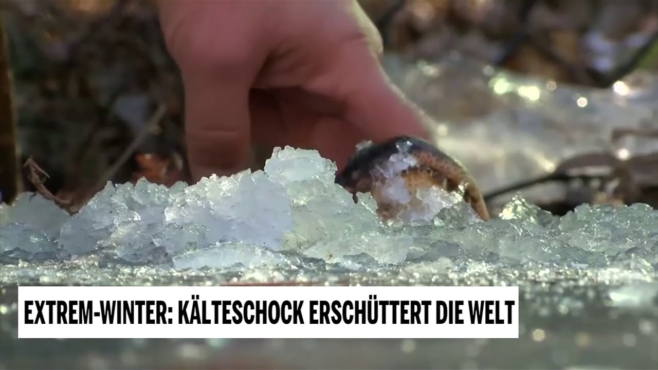 Extrem-Winter: K&auml;lteschock ersch&uuml;ttert die Welt