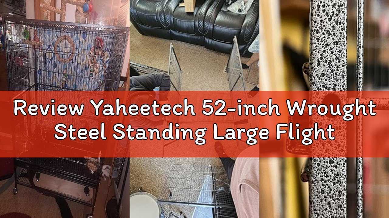 Review Yaheetech 52-inch Wrought Steel Standing Large Flight King Bird Cage for Cockatiels African G