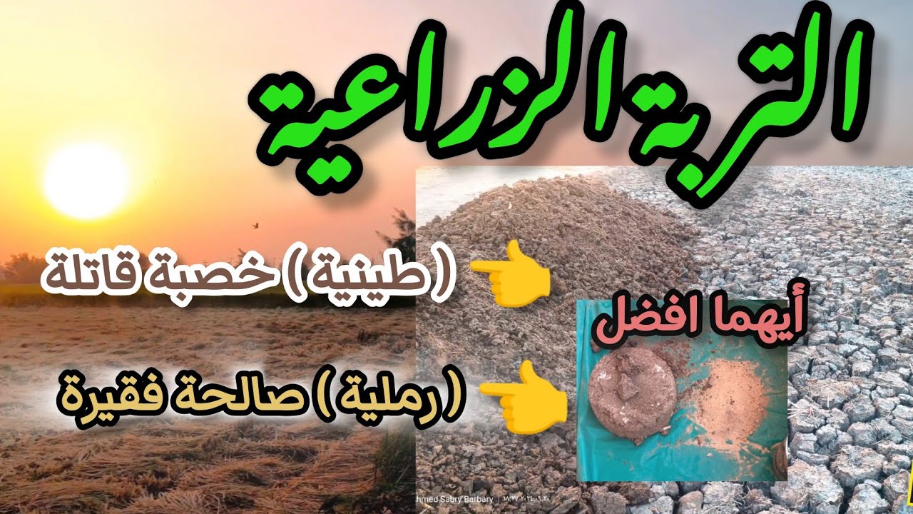 التربة الزراعية ايهما افضل ( طينية ام رملية )
