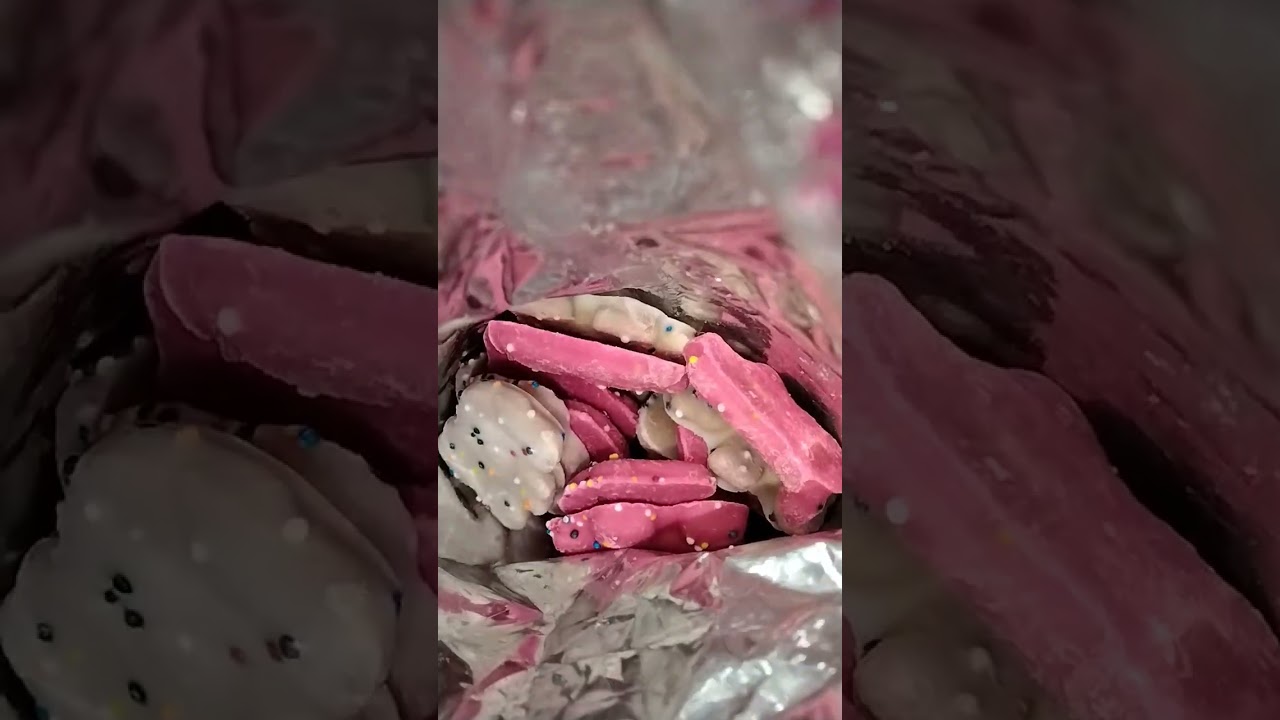 Opening circus 🎪 animal cookies