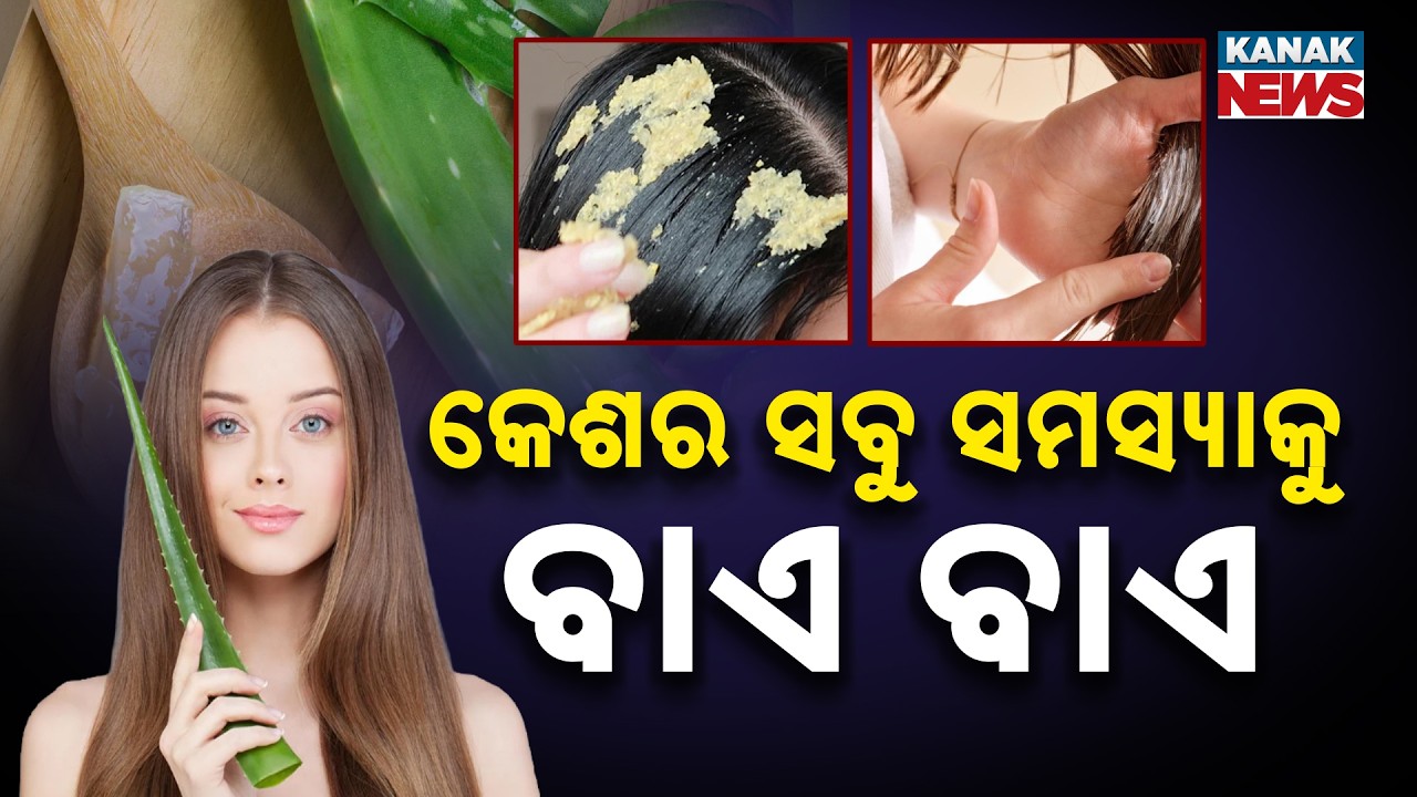 Spl Report: How to Grow Hair Fast with Aloe Vera & Methi | Best Home Remedy for Hair Fall & Dandruff