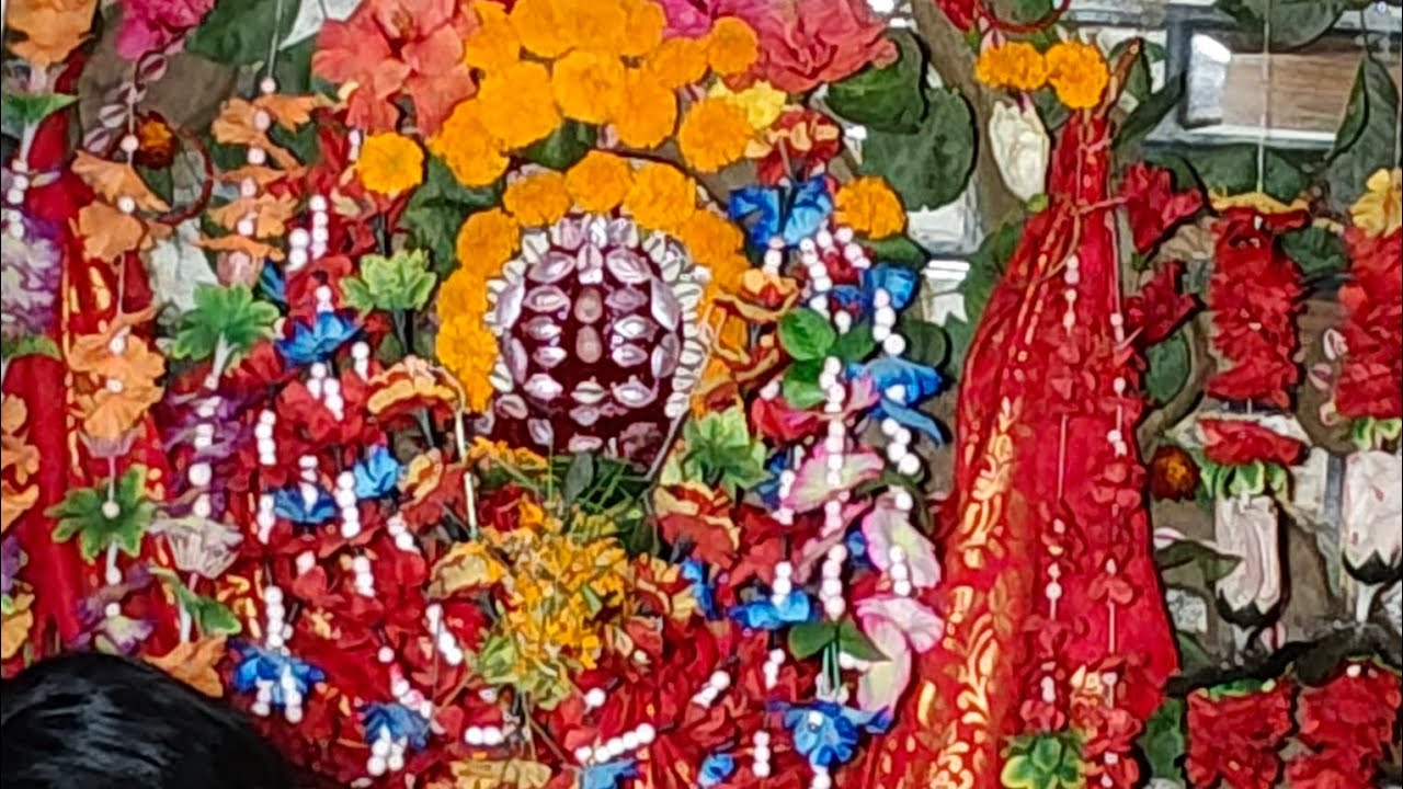 ମାଉସୀ ଝିଅଙ୍କ ଷଠୀ ପୂଜାରେ ମାଉସୀଙ୍କର କଣ ହେଲା ଭିଡ଼ିଓ ଲାଷ୍ଟଯାଏ ଦେଖନ୍ତୁ ଜାଣିପାରିବେ🌺🙏villagelife #new #vlog