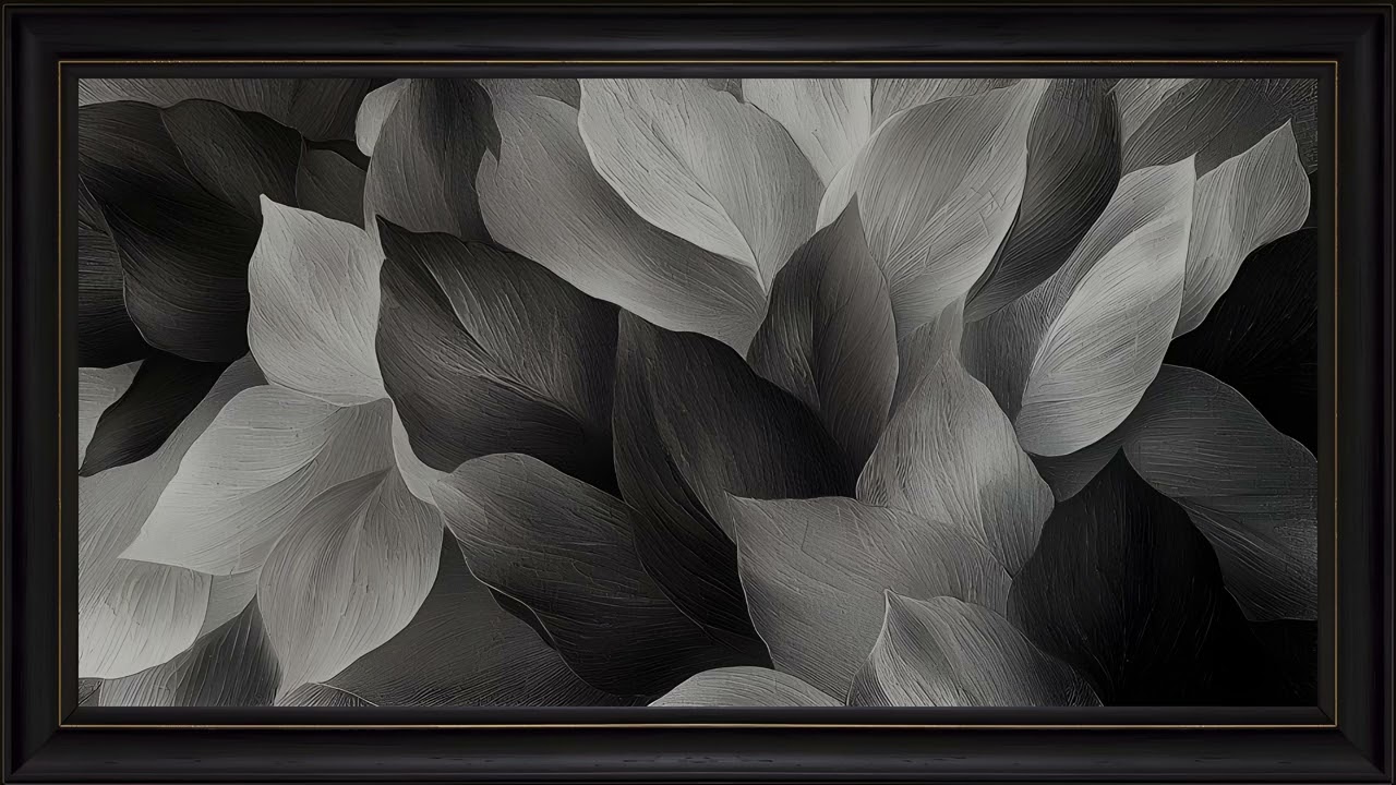 Elegant Botanical Petals Abstract Monochrome: Framed TV Art Screensaver 4K