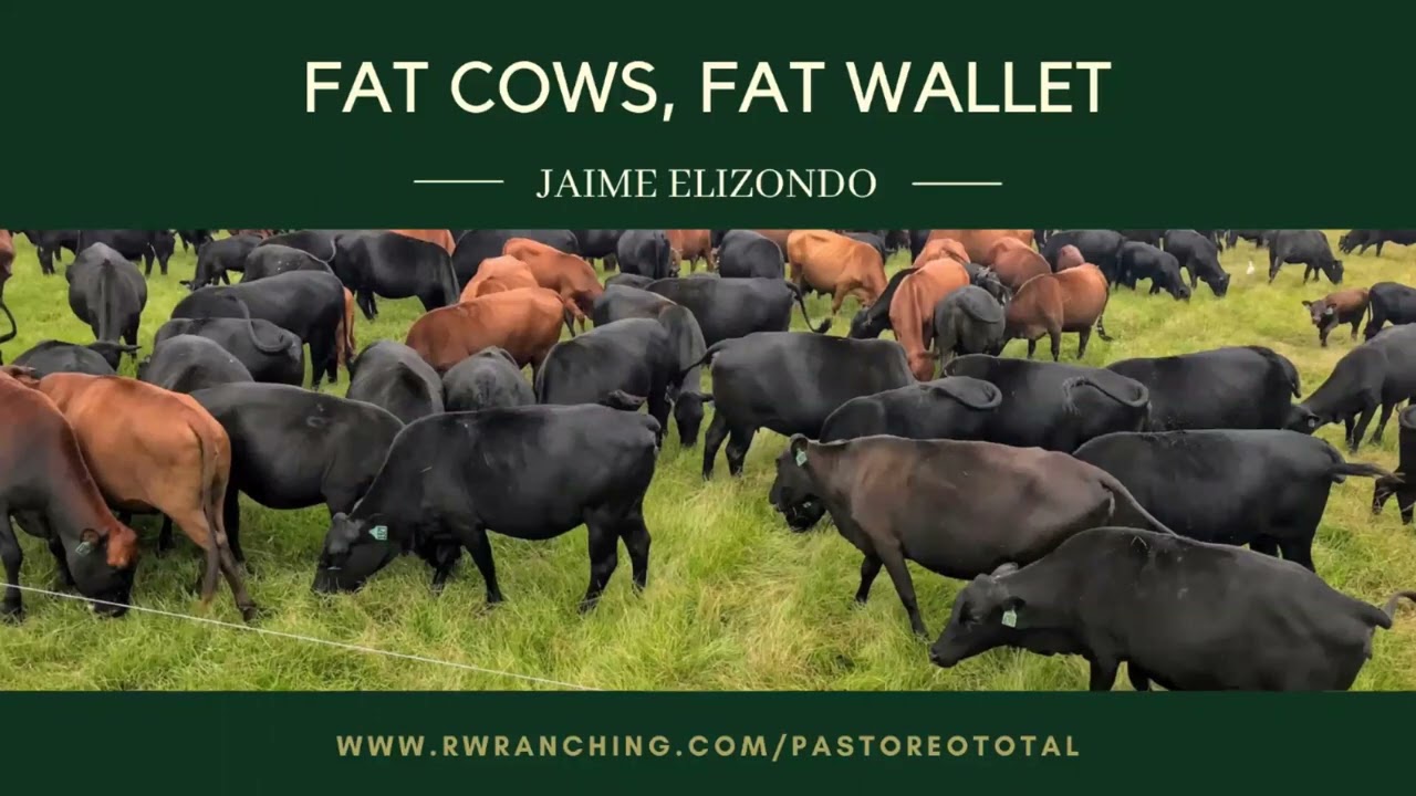 #43 El Uso de Urea o Nitrógeno no Proteico en Rumiantes