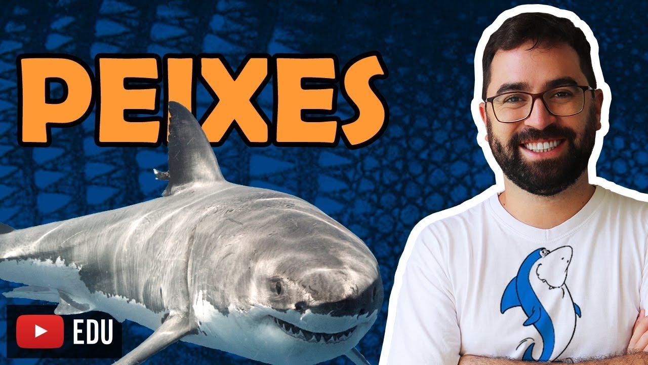 Peixes - Aula 28 - M&oacute;dulo VI: Zoologia | Prof. Gui