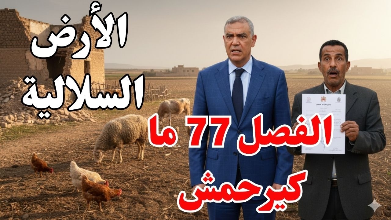 بنيت فوق أرض سلالية و ريّبت… ولكن تفاجأت باستدعاء المحكمة! شنو كيقول قانون التعمير؟