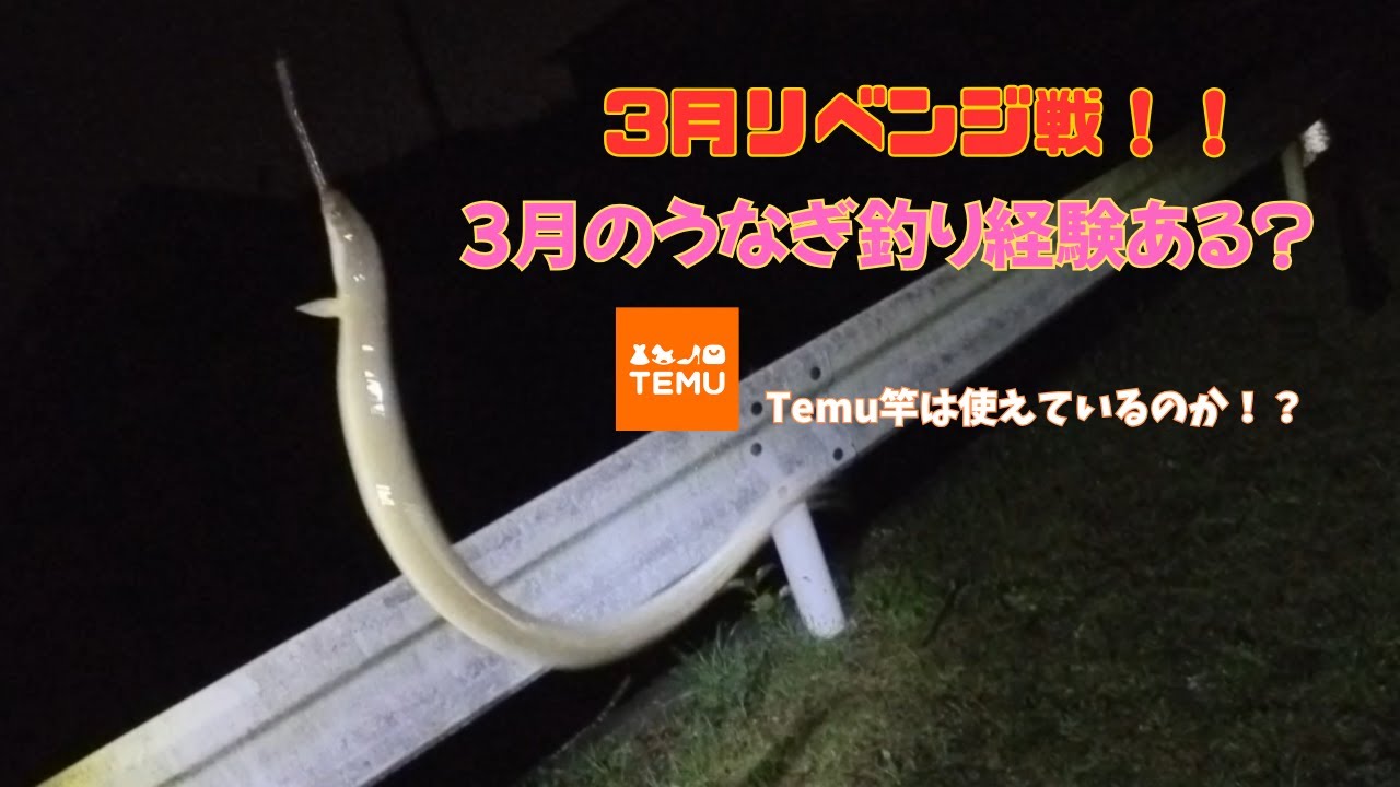 【うなぎ釣り】3月の厳寒リベンジ❗️まさかの爆釣なるか⁉️