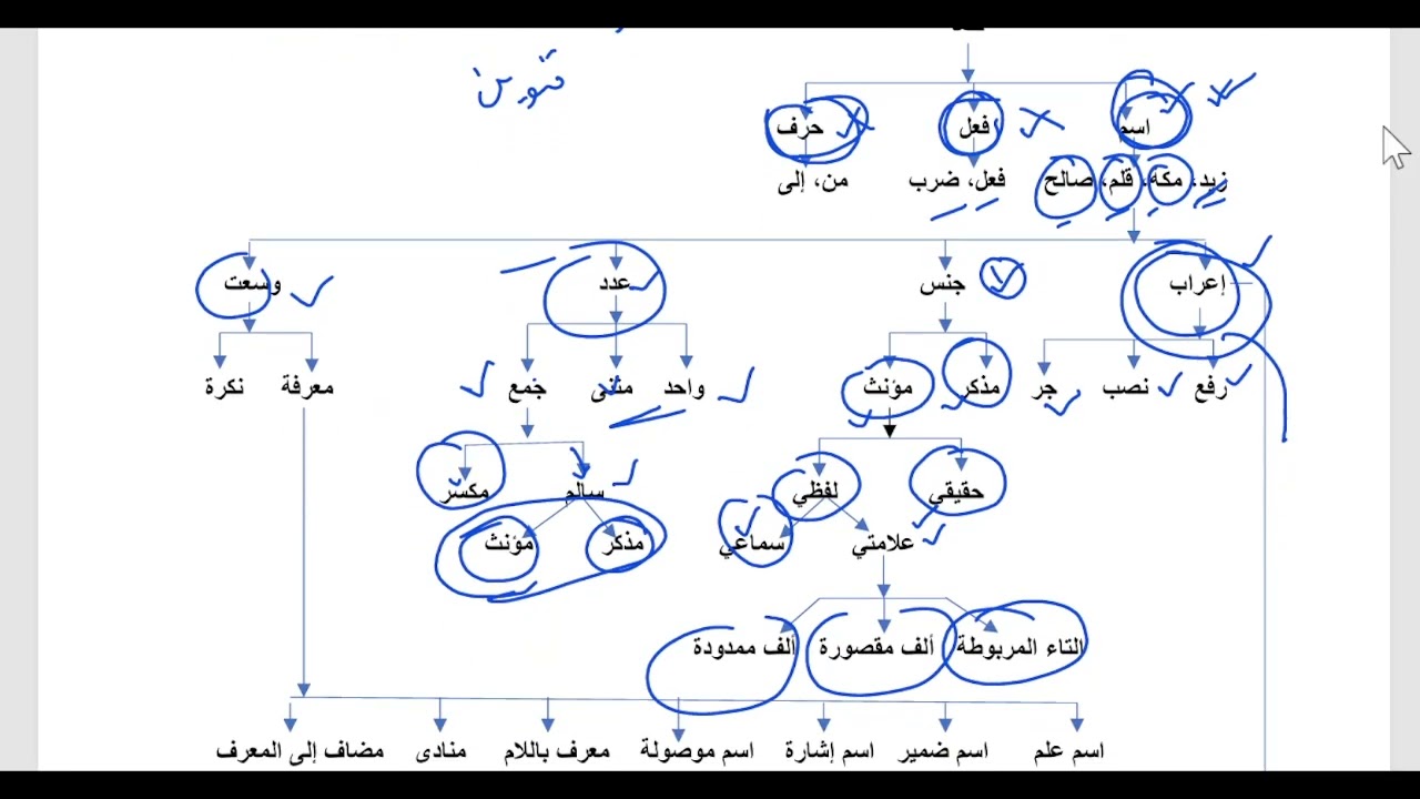 Revision Class,  (01-08 Class)