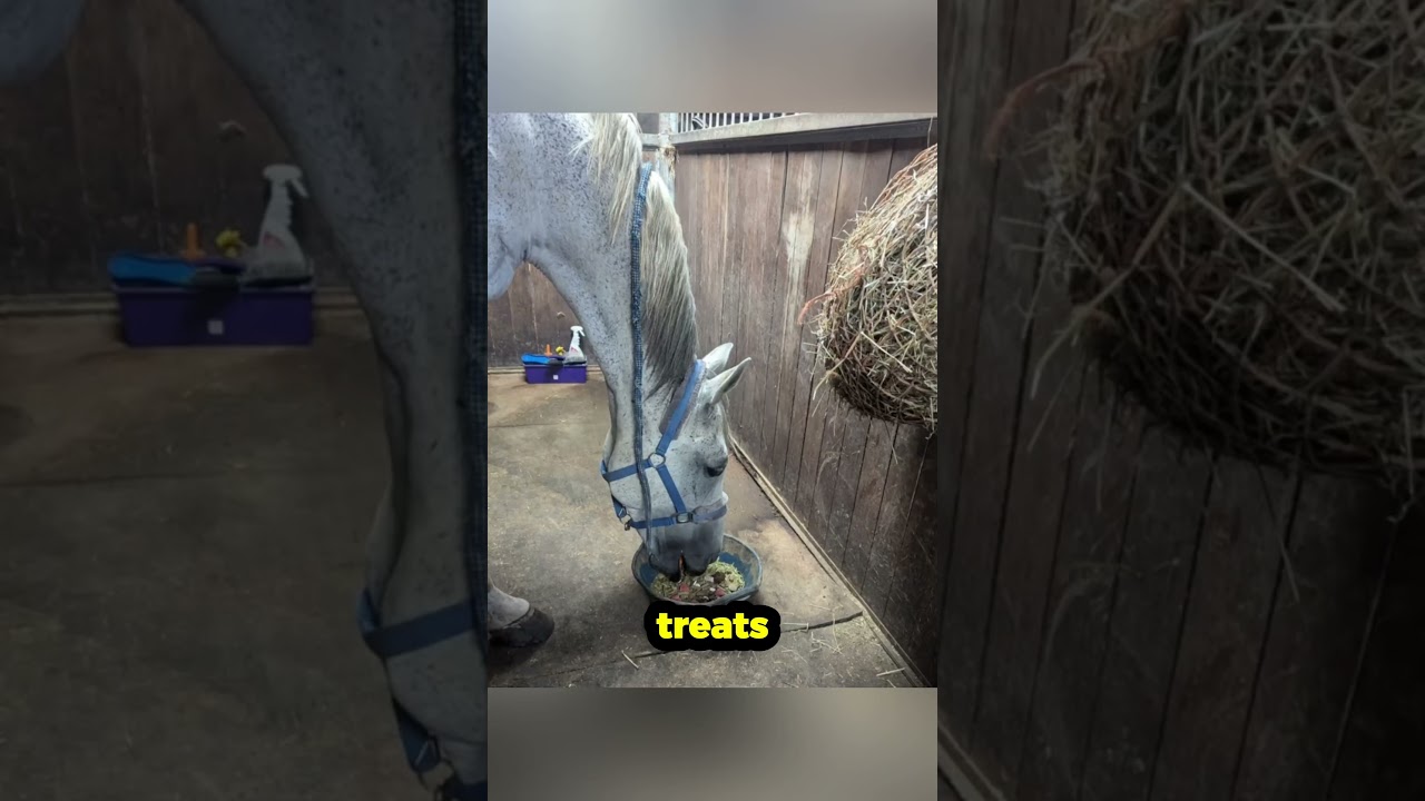 A Horse She&rsquo;ll Never Forget