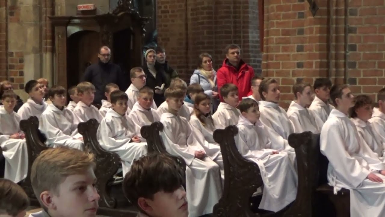 Psalm - Pan mym pasterzem ,nie brak mi niczego - Archidiecezjalny Dzień Lektora  - Katedra Poznań