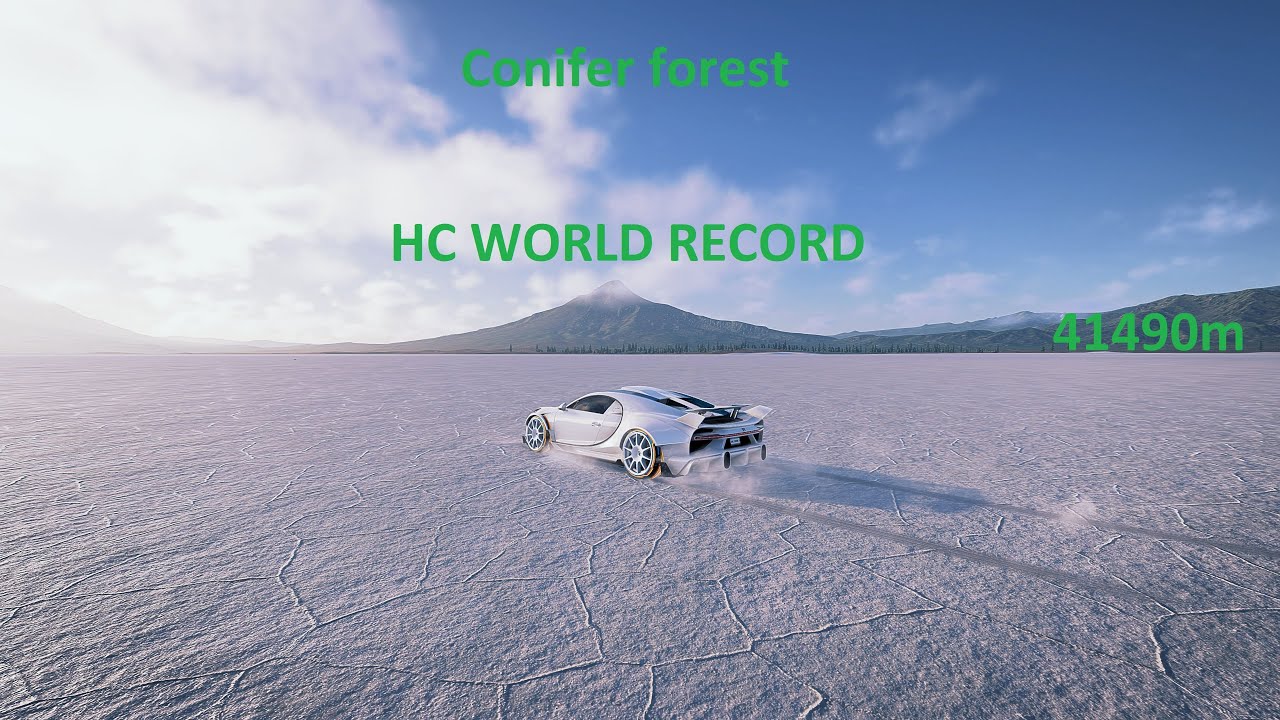 The Crew 2 Conifer forest escape HC World Record 41490m