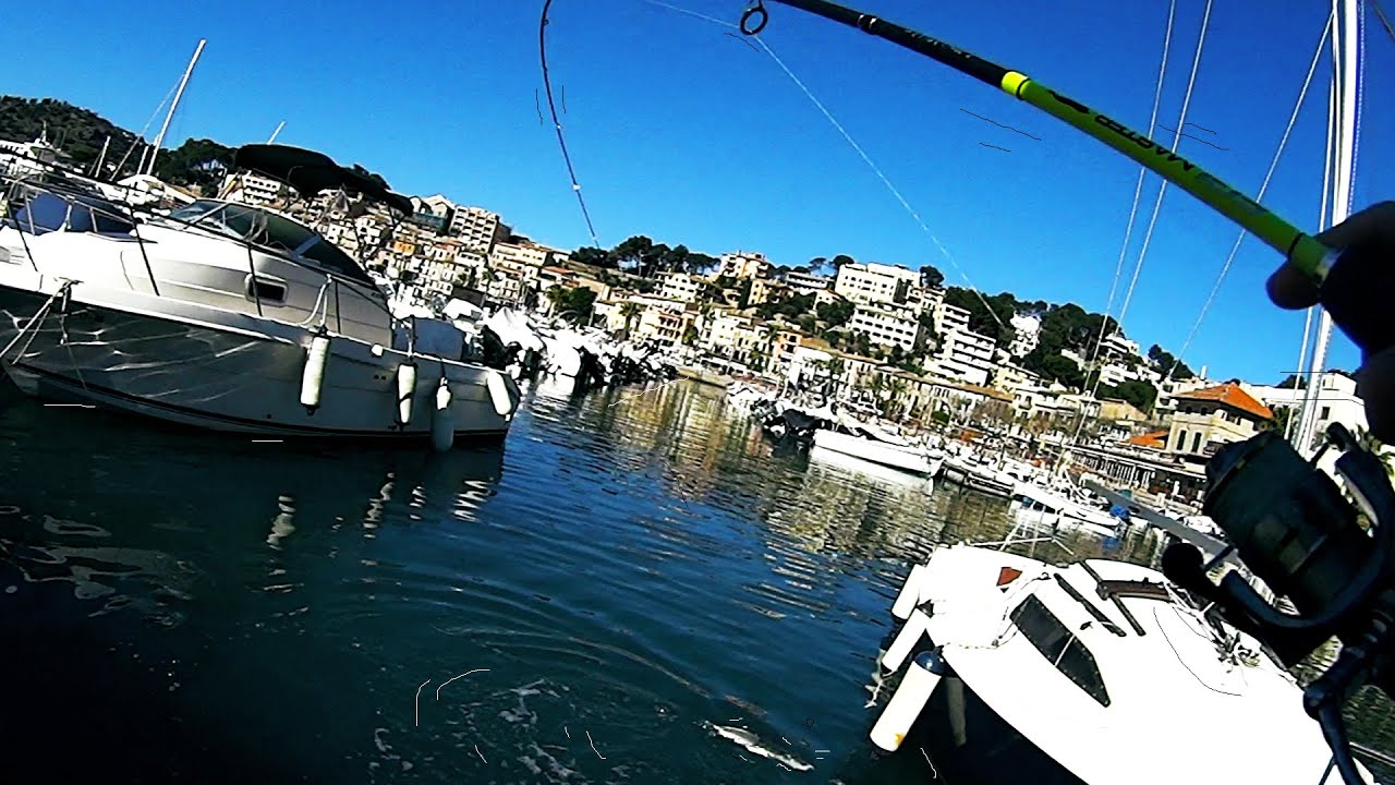 Como PESCAR mas en PUERTOS, t&eacute;cnica ULTRA LIGHT= BIG FISHESS  Equipo de ROCKY al LIMITE. 3ESPECIES