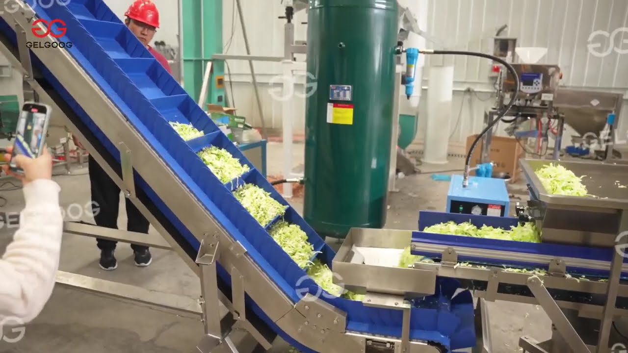 #Vegetable & Fruit Processing Machinery Vegetable Production Line #Salad Processing Machine
