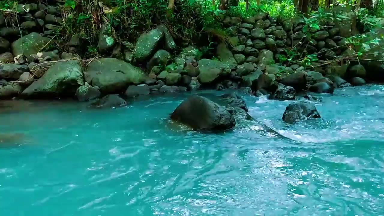 River Flowing in Forest - Nature Sound Ambience For Sleep