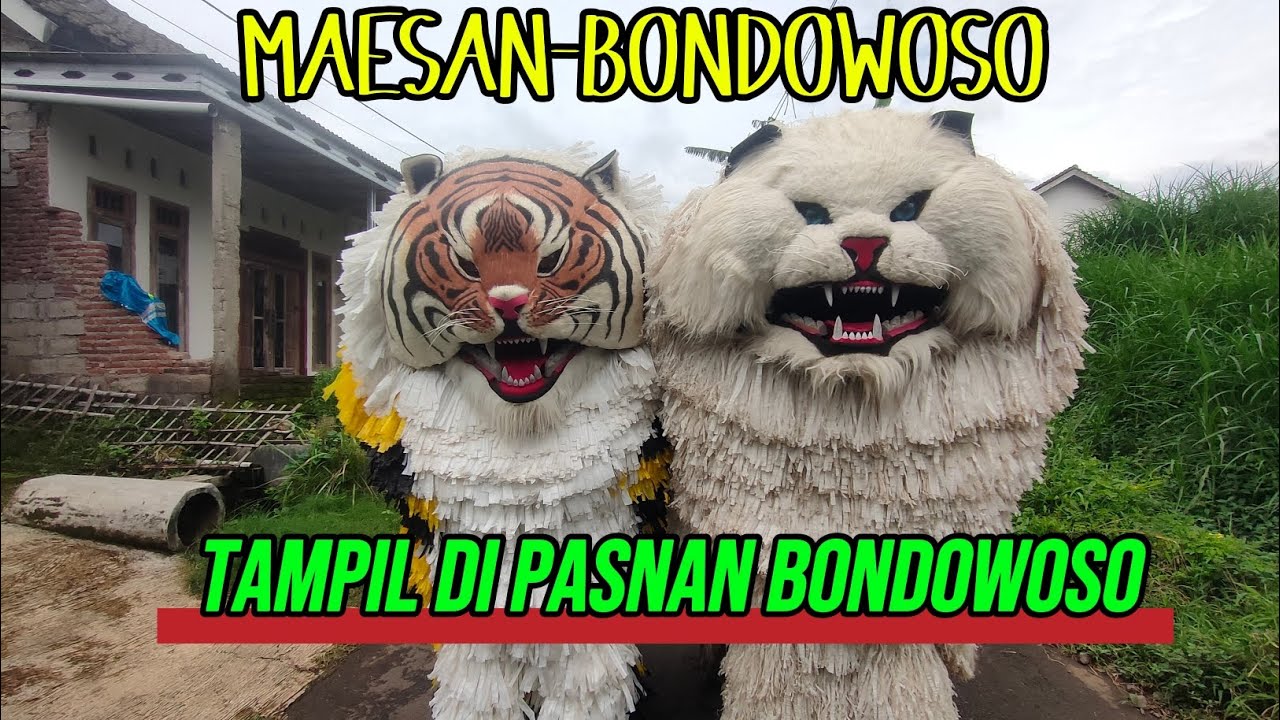 KIRAB DRUMBAND MIFTAHUL ULUM MAESAN-BONDOWOSO LIVE DI PASNAN