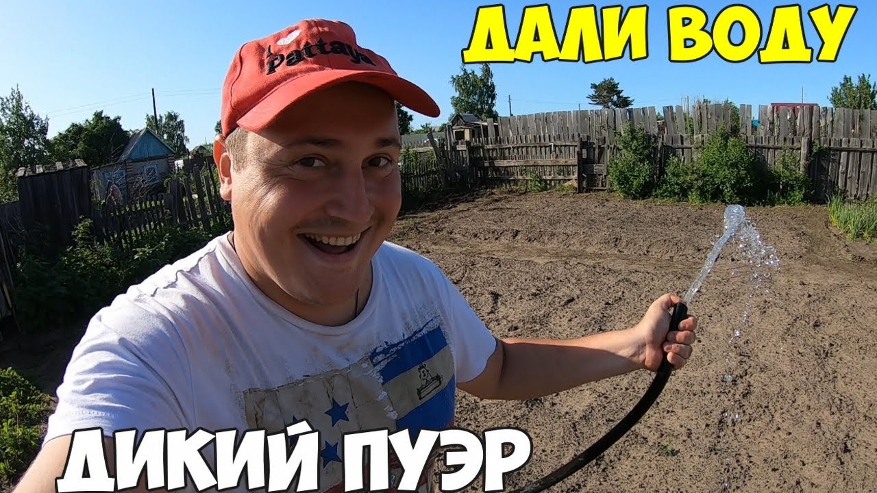 Куба на даче, дали воду. Завариваю дикий пуэр