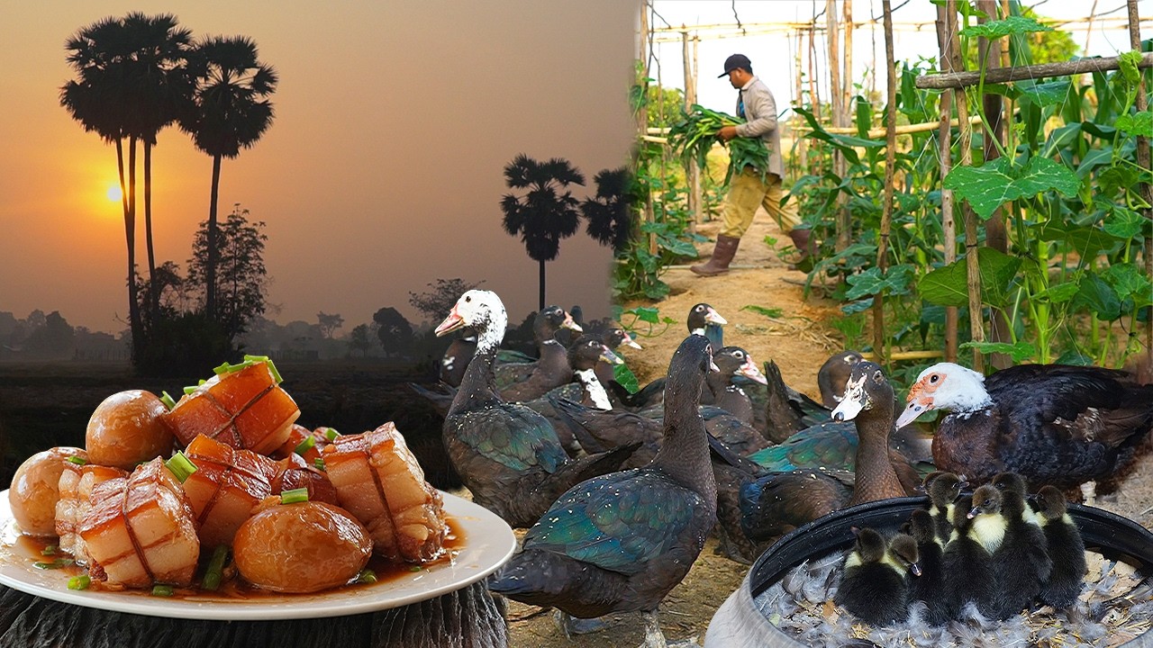 Peaceful Duck Farming Morning | Sunrise, Garden Life & Pork Stew with Duck Eggs