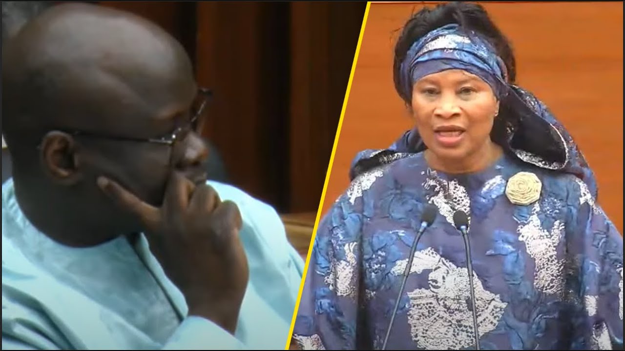 Assemblée - L'intervention très pertinente de Aissata Tall Sall devant Cheikh Diba