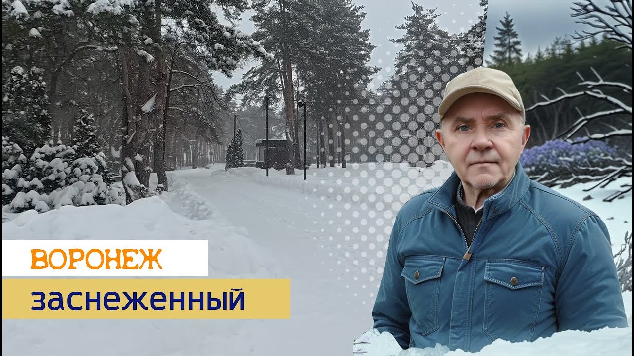 Заснеженный Воронеж, 31.01.26г.