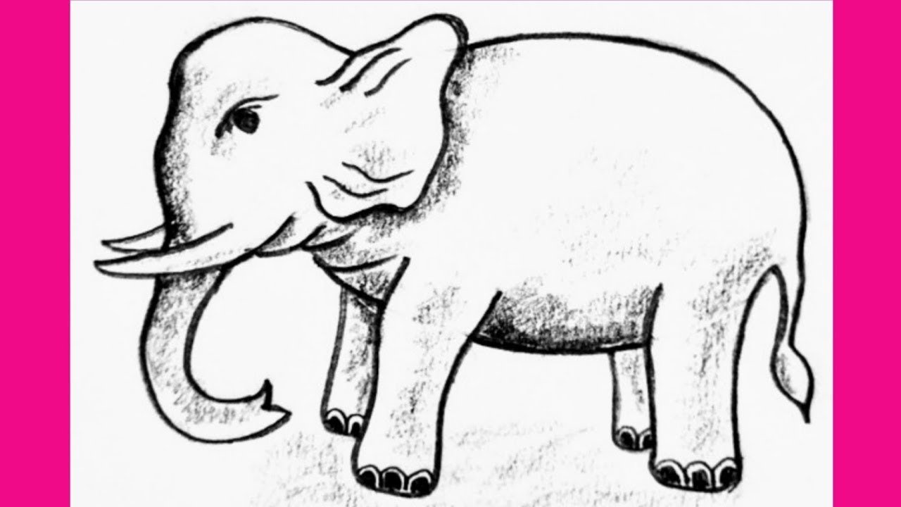 hathi ka chitra/elephant drawing/how to draw elephant step by step for beginners