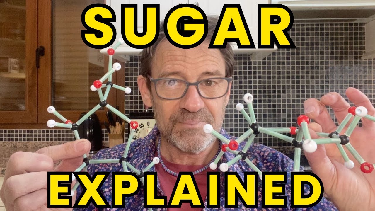 САХАРА — что это такое и где они прячутся