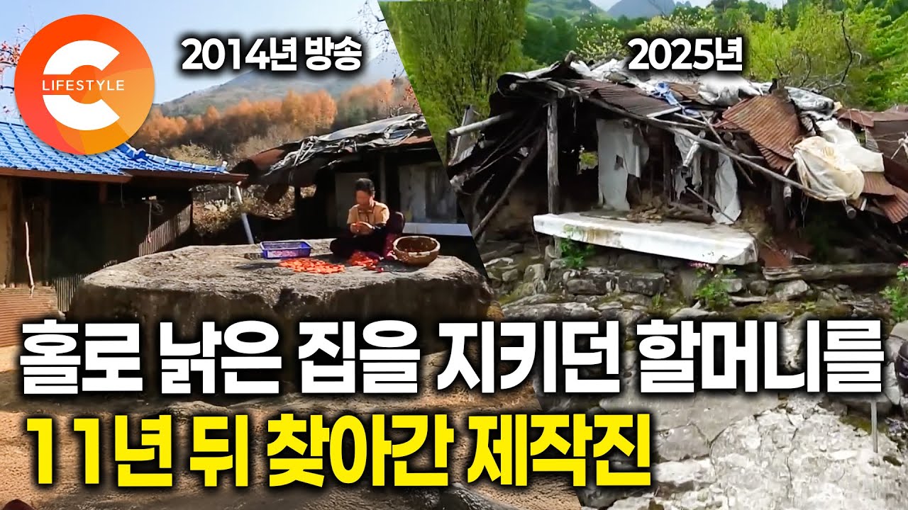 2014년, 홀로 낡은 집을 지키던 할머니는 잘 지내고 계실까ㅣ11년 전 만났던 오지마을 외딴집 할머니를 다시 찾아가봤습니다ㅣ✨한국기행 4천 회 특집✨ㅣ#한국기행