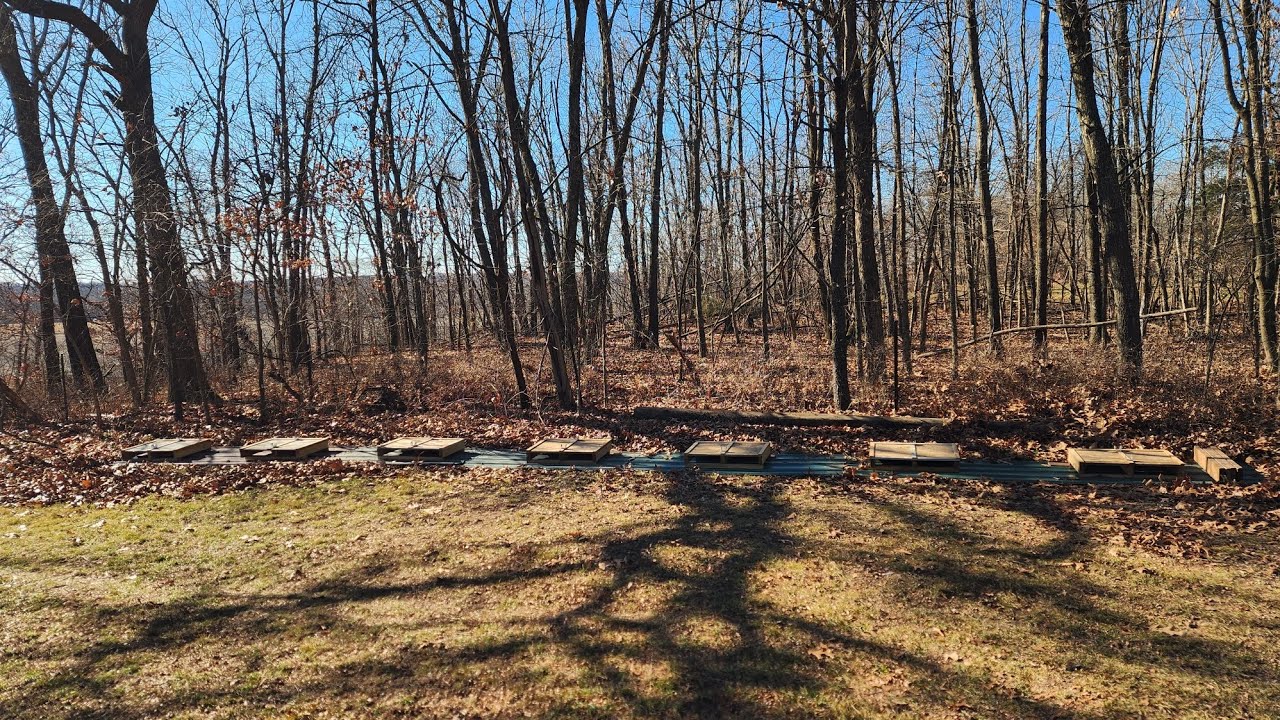 Setting up 2 new beeyards