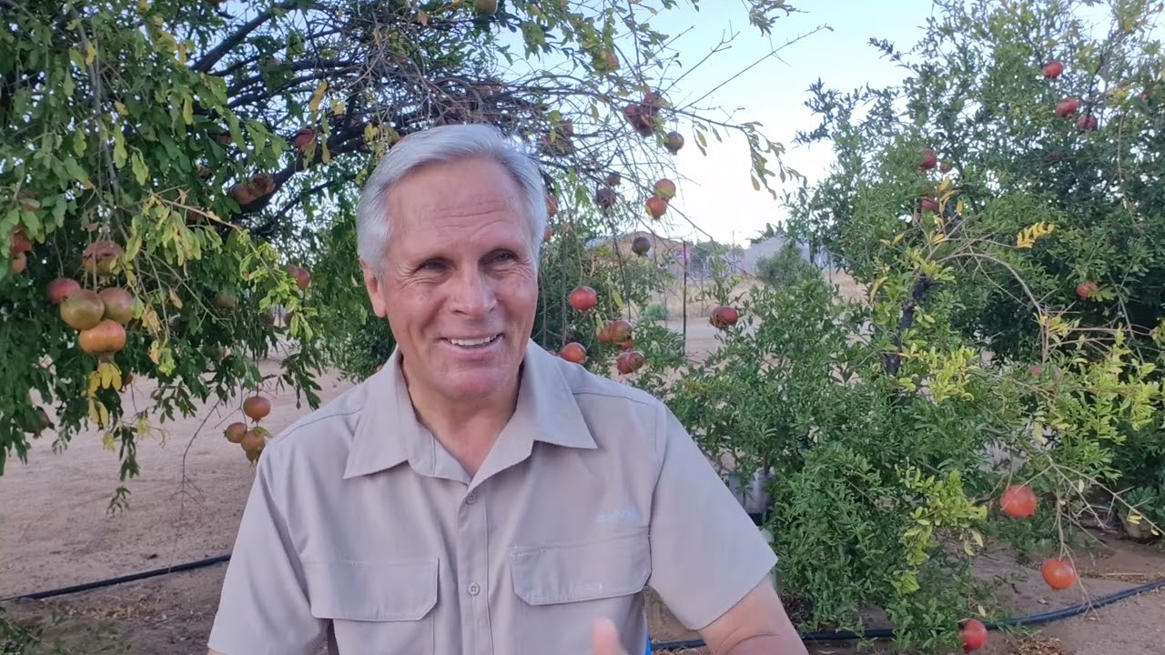 ELOHIM is naby die gebrokenes // Jy het 2 keuses // Kies lewe - Frik Weideman | Menorah Tabernakel