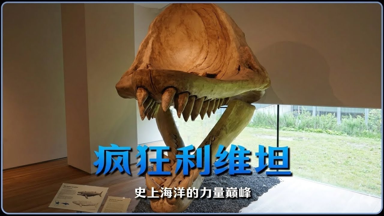 撕碎汽車算什麼？如果利維坦鯨活到今天，海洋里還有誰能逃掉？