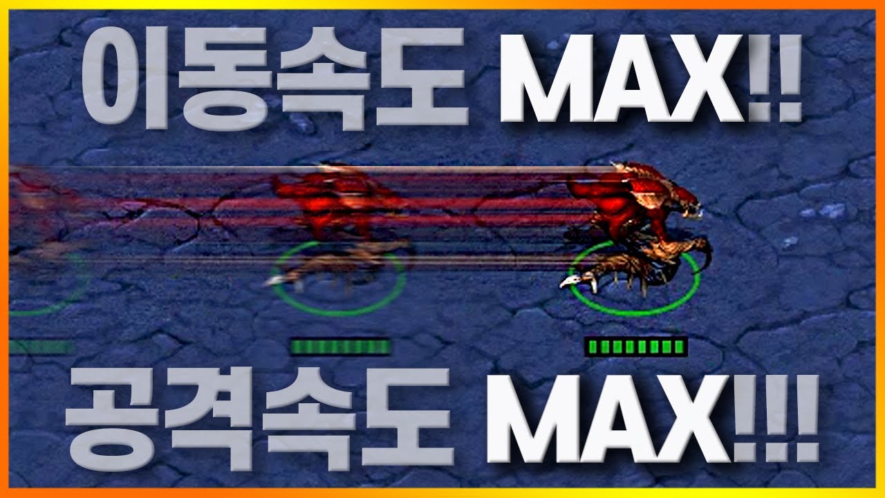 히드라리스크의 공격속도와 이동속도를 최대치로 올려보았다.
