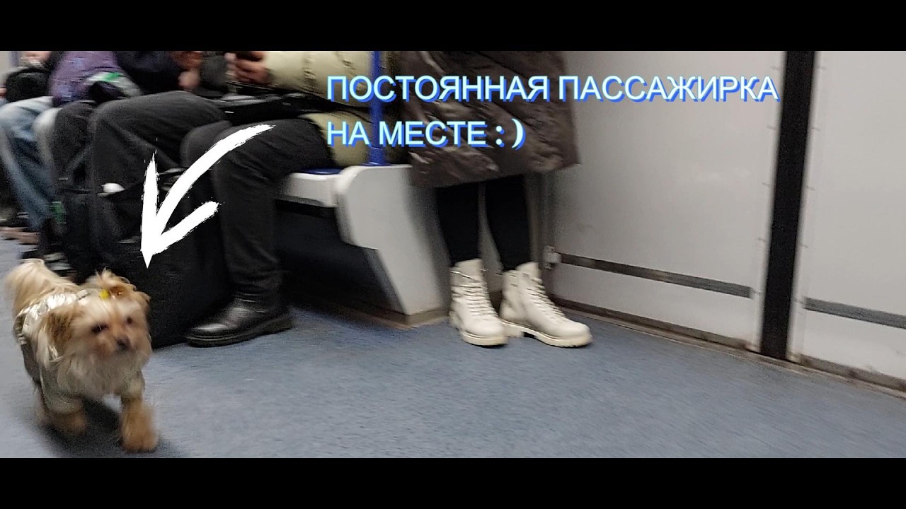 ПОЕЗДКА ОТ СТАНЦИИ ПЛОЩАДЬ КОНСТИТУЦИИ ДО СТАНЦИИ ТУРБОАТОМ