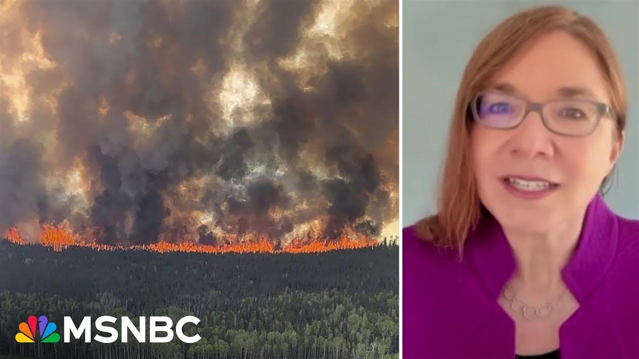 Cutting carbon emissions stops ‘loading the weather dice against us’: Climate scientist