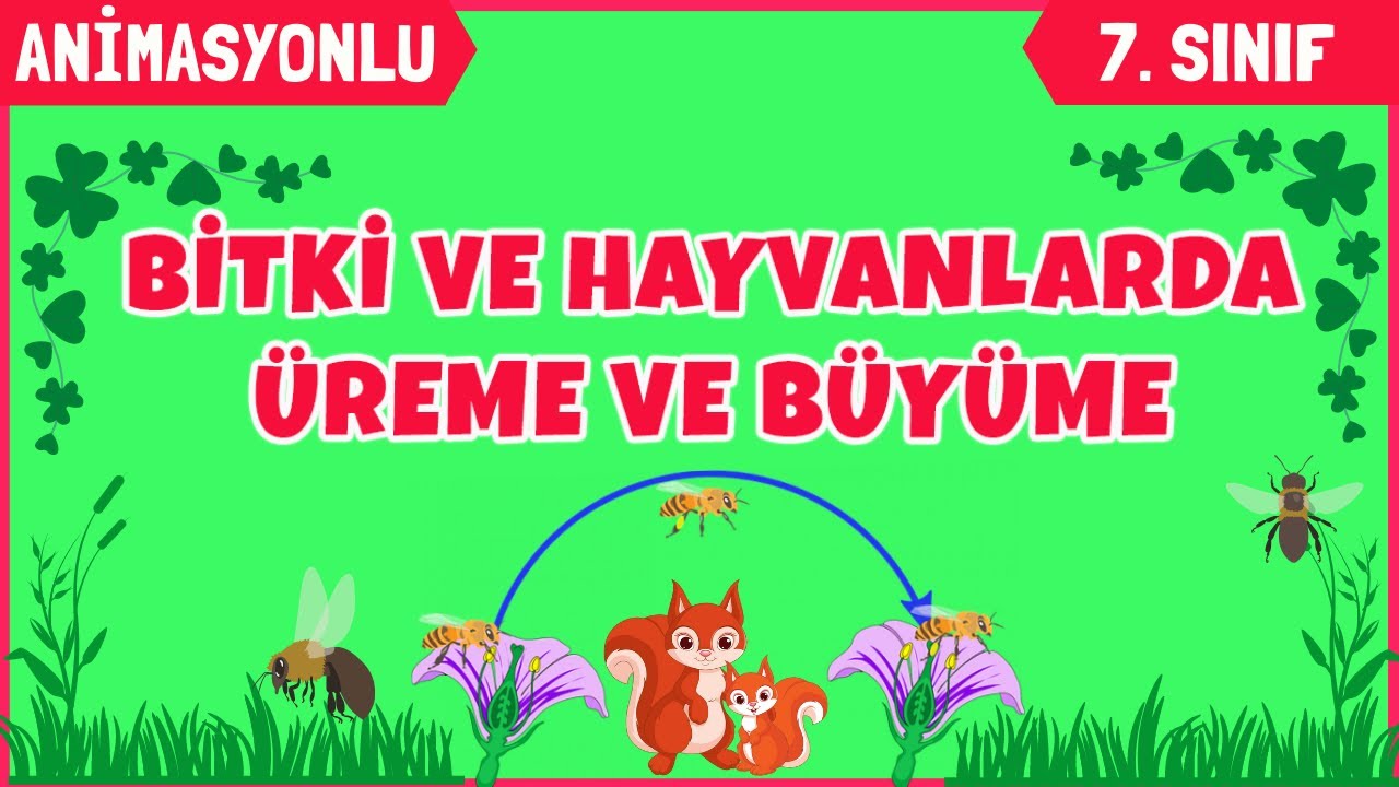 BİTKİ VE HAYVANLARDA ÜREME BÜYÜME VE GELİŞME 7.SINIF