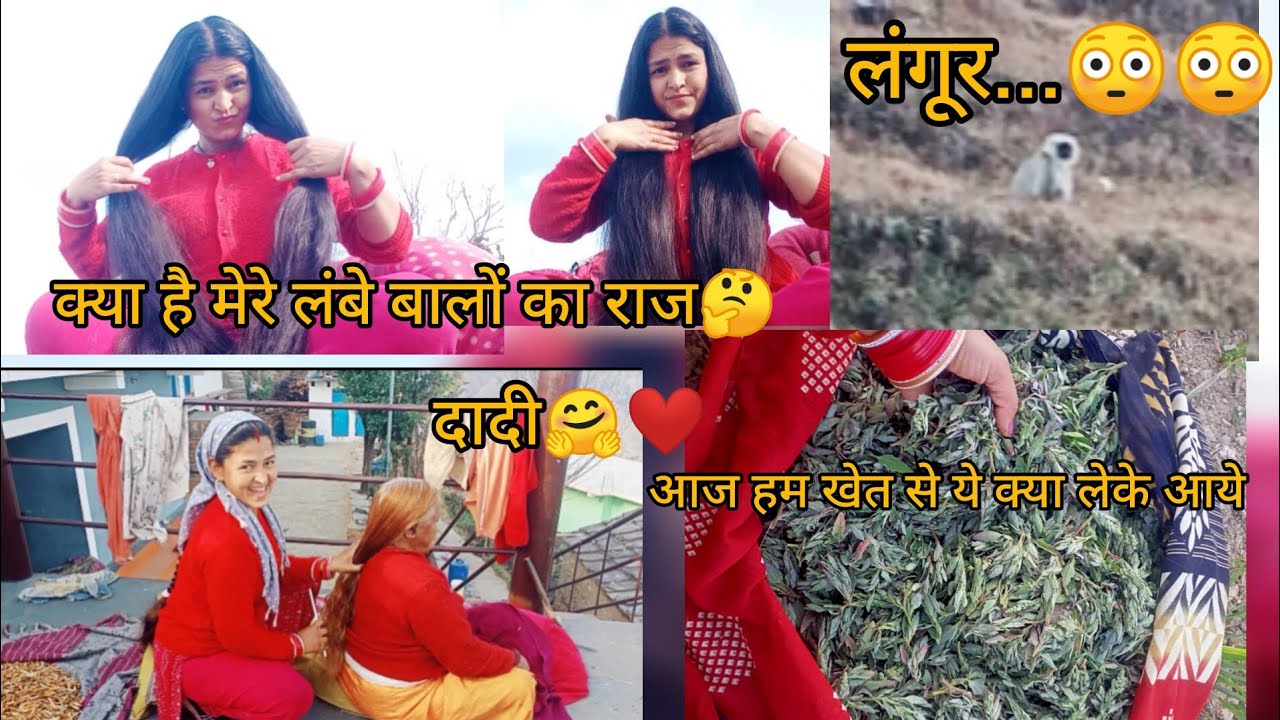 आज हम खेत से ये क्या लेके आये...🤔#dailyvlog #villagerlifestyle #shorts #love #villagevlog #cutebaby 