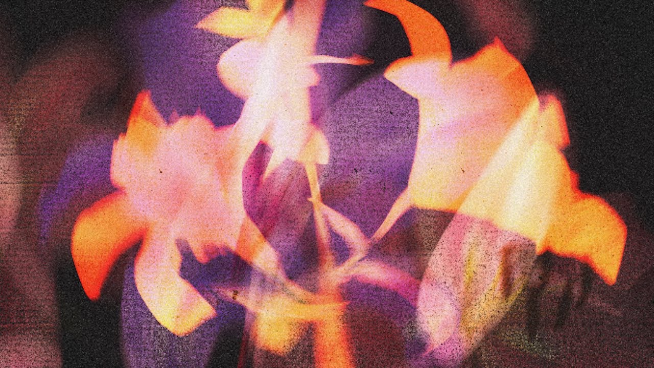 Dream, Ivory - Tangerine Dream (Official Visualizer)