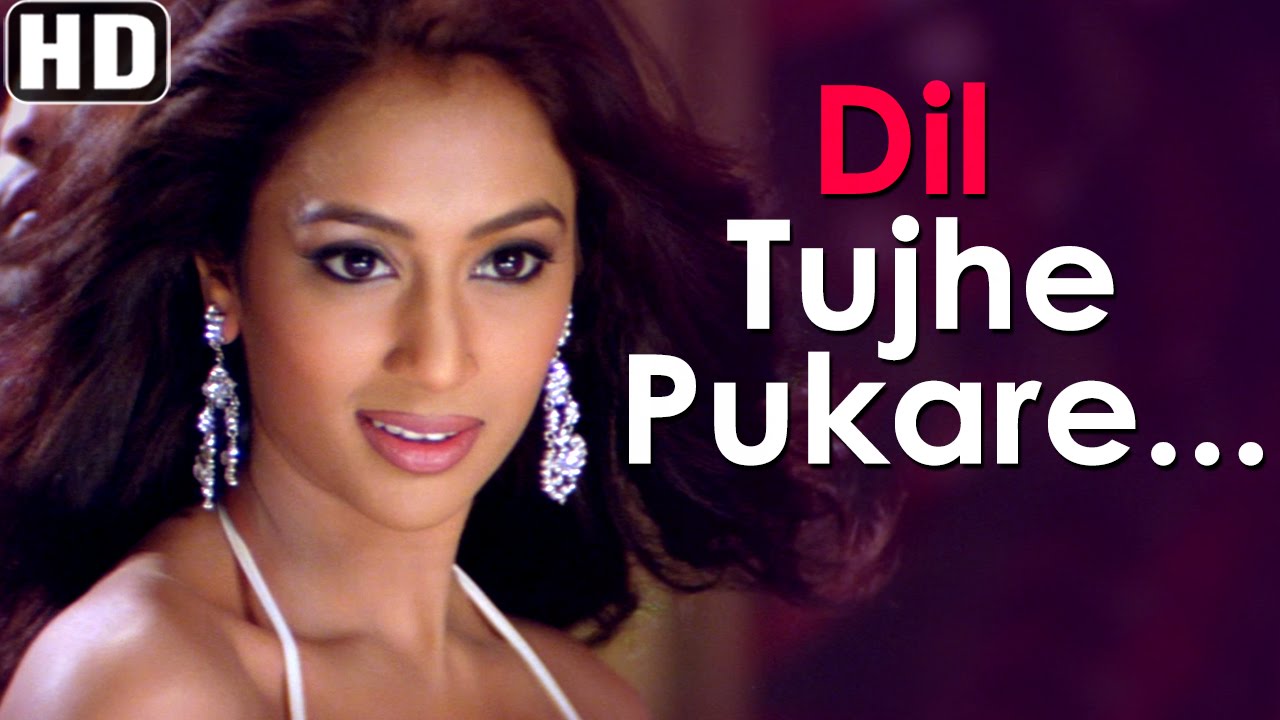 Dil Tujhe Pukare - Nakshatra Songs -  Tarannum Mallik Hits - Bollywood latest Song