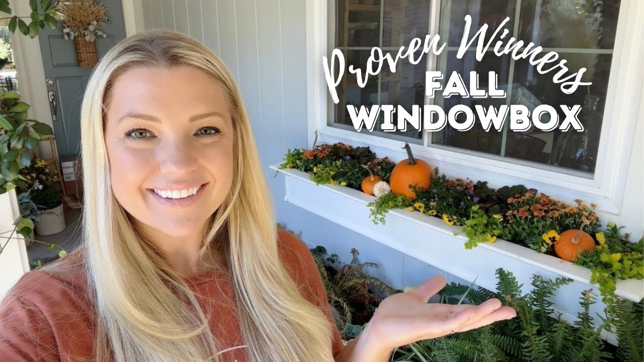 Planting Up A 🍁🍂Fall🍂🍁 Window Box With Proven Winners! :: Dig, Plant, Water, Repeat
