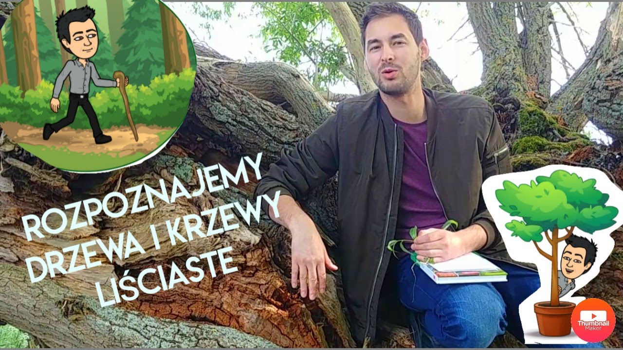 Znaczenie i przegląd roślin okrytonasiennych