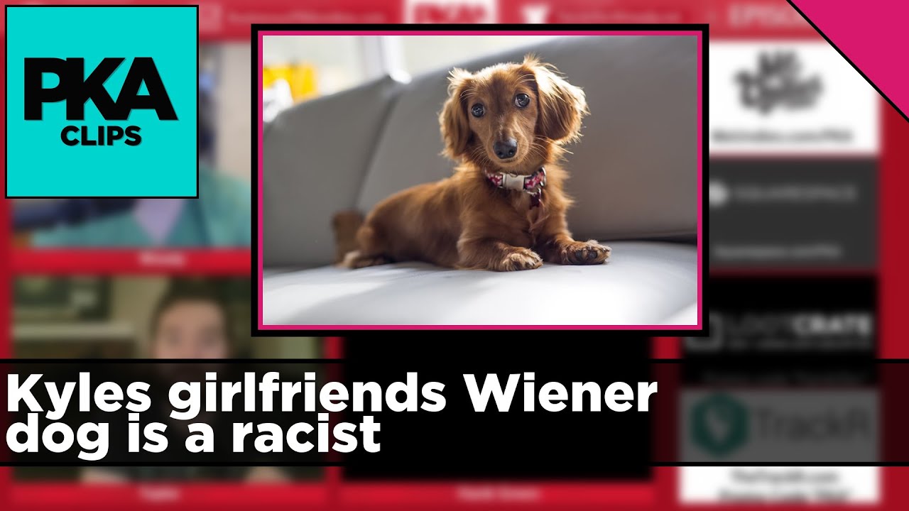 Kyles girlfriends Wiener dog is a racist - PKA Clip
