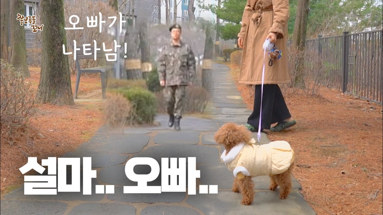 길에서 군대 간 오빠를 본 강아지의 반응! 감동 ㅠㅠ