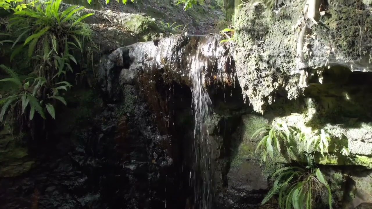 Ashdown forest. Break neck fall. Sussex.