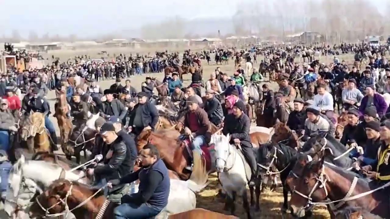  08.02.2026 URGUT pochvan ko'pkarisi