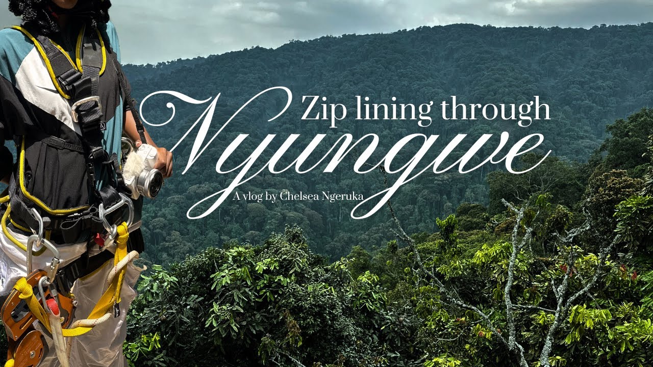 Zip lining through Nyungwe Forest